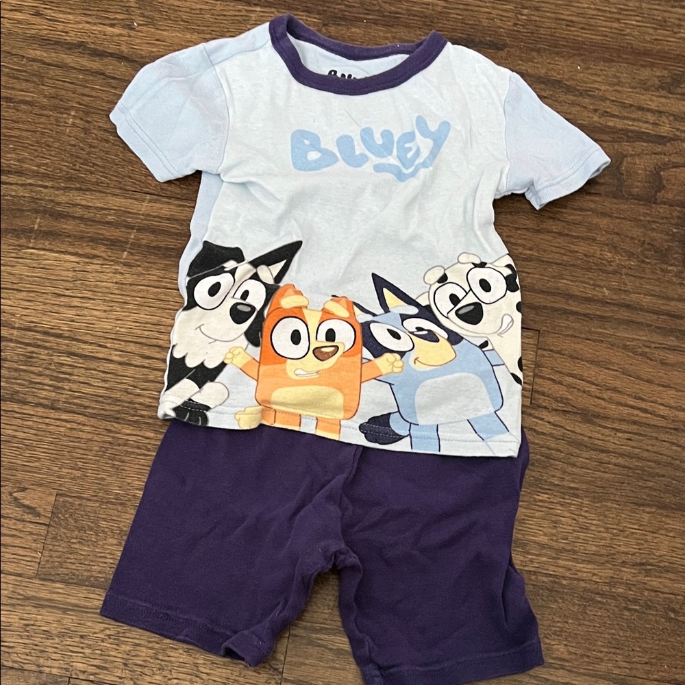Bluey Character Pajamas